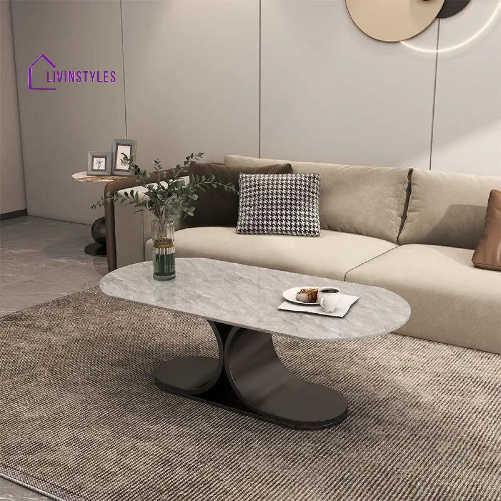 Ushini Stainless Steel Frame Coffee Table for Living Room