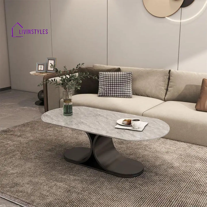Ushini Stainless Steel Frame Coffee Table for Living Room
