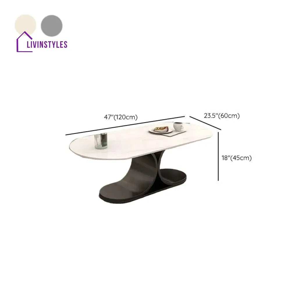 Ushini Stainless Steel Frame Coffee Table for Living Room