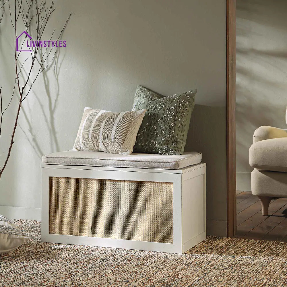 Frances Woven Rattan Double Storage Stool with Cushion White Cabinets & Chests