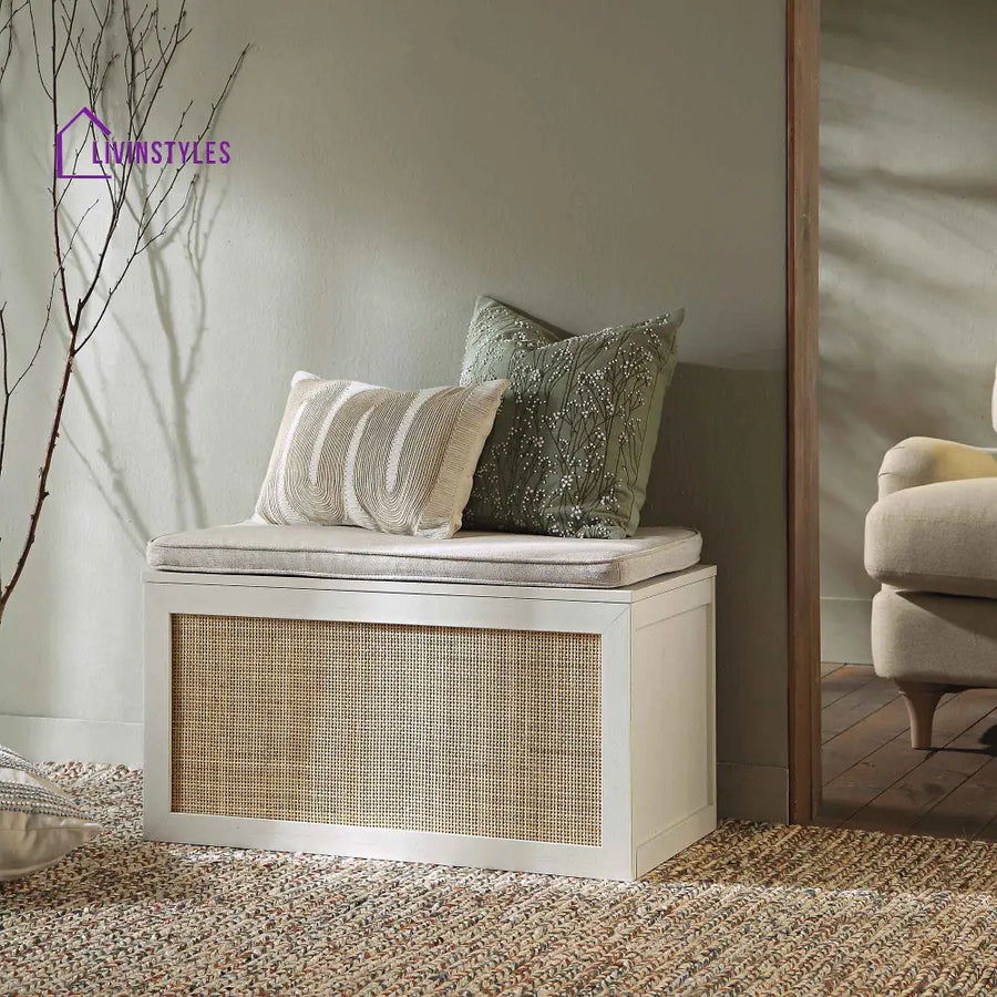 Frances Woven Rattan Double Storage Stool with Cushion White Cabinets & Chests