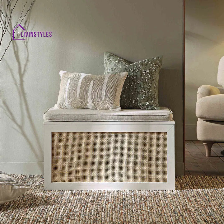 Frances Woven Rattan Double Storage Stool with Cushion White Cabinets & Chests