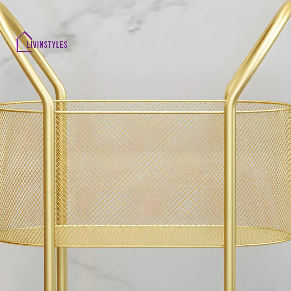 Varya Stainless Steel Frame Storage Shelves