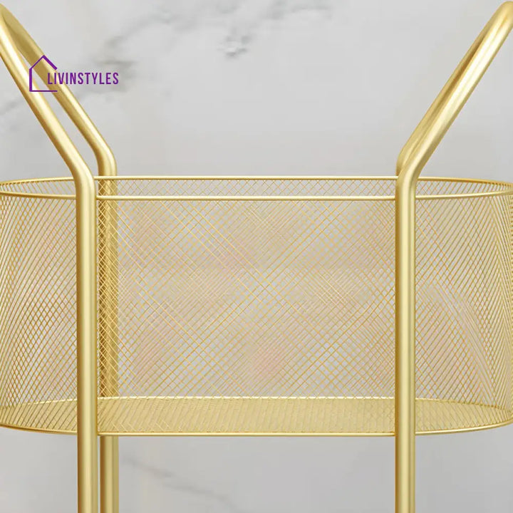 Varya Stainless Steel Frame Storage Shelves