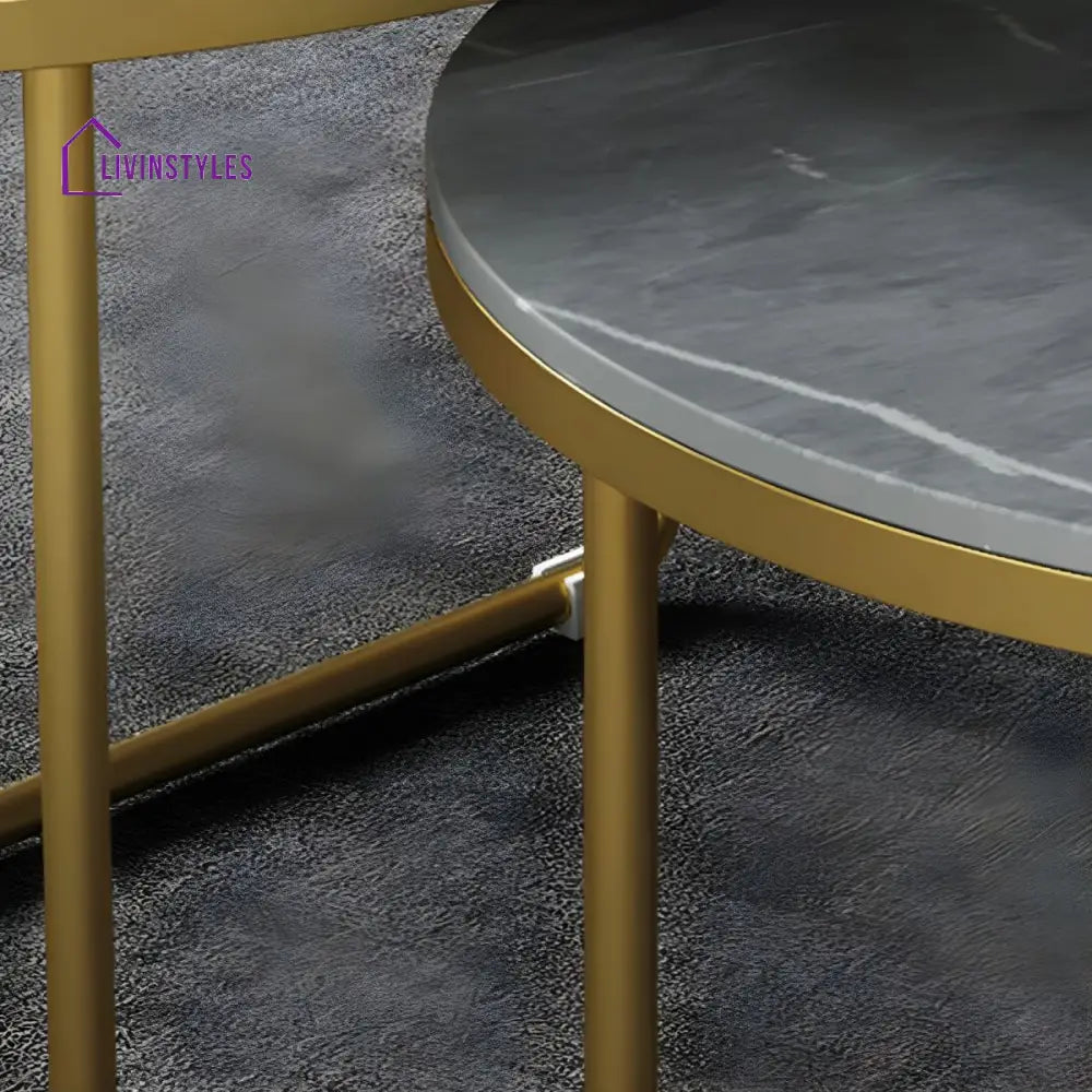 Vedant Stainless Steel Frame Coffee Table for Living Room