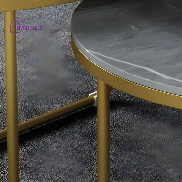 Vedant Stainless Steel Frame Coffee Table for Living Room