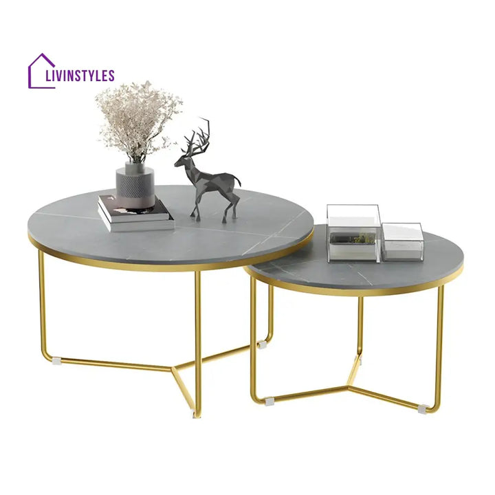 Vedant Stainless Steel Frame Coffee Table for Living Room