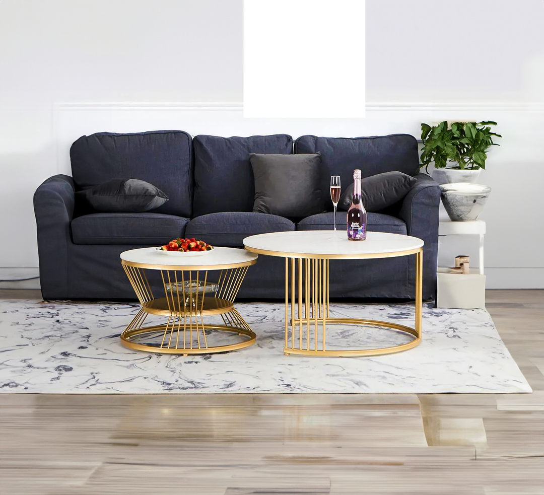 Classic Style Complementing Golden Coffee Table Set of 2 Table