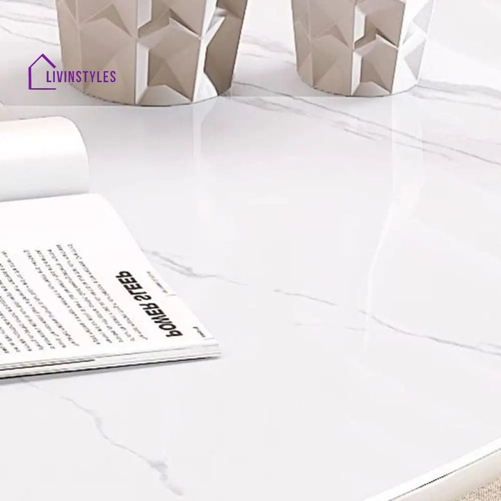 Vitara Marble Top Stainless Steel with PVD Coated Coffee Table Set | MDF Wooden Storage Frame