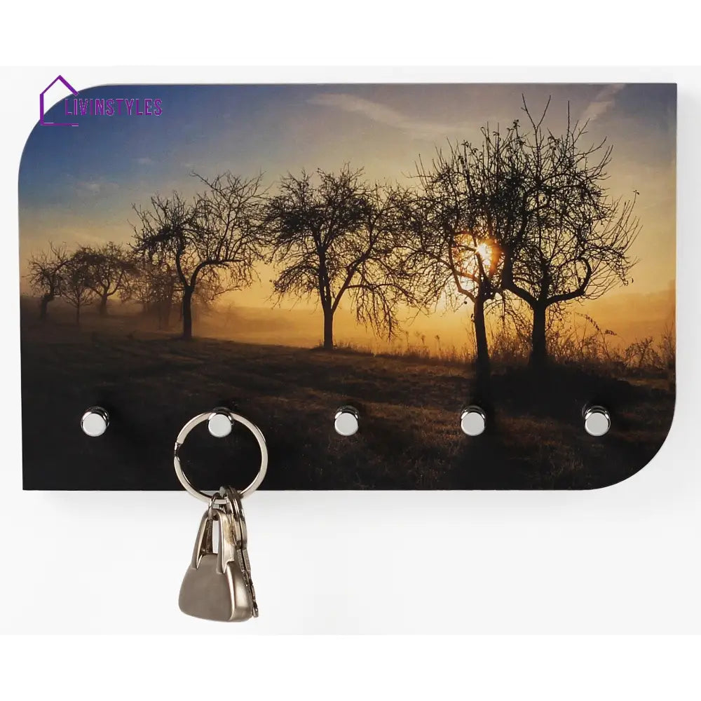 Vivid Art Work Key Holder Keychain Holder Key Holder