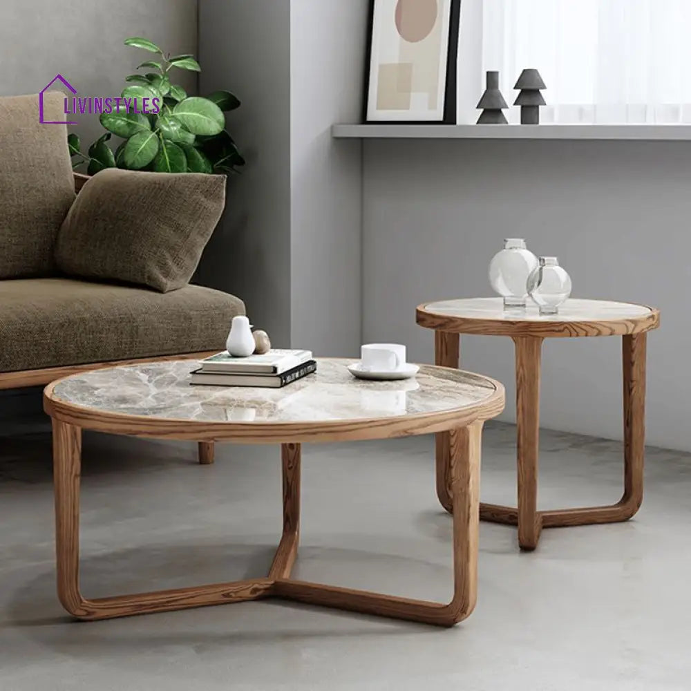 Vrishti Wooden Frame and Ceramic Marble Top Coffee Table for Living Room