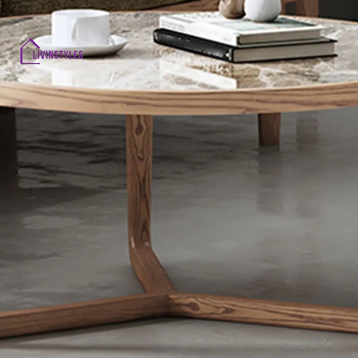 Vrishti Wooden Frame and Ceramic Marble Top Coffee Table for Living Room