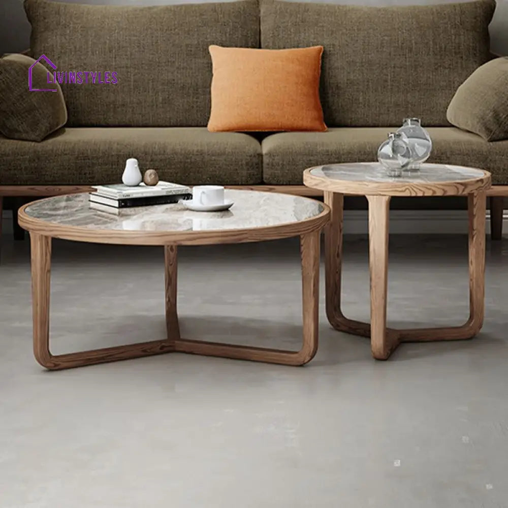 Vrishti Wooden Frame and Ceramic Marble Top Coffee Table for Living Room