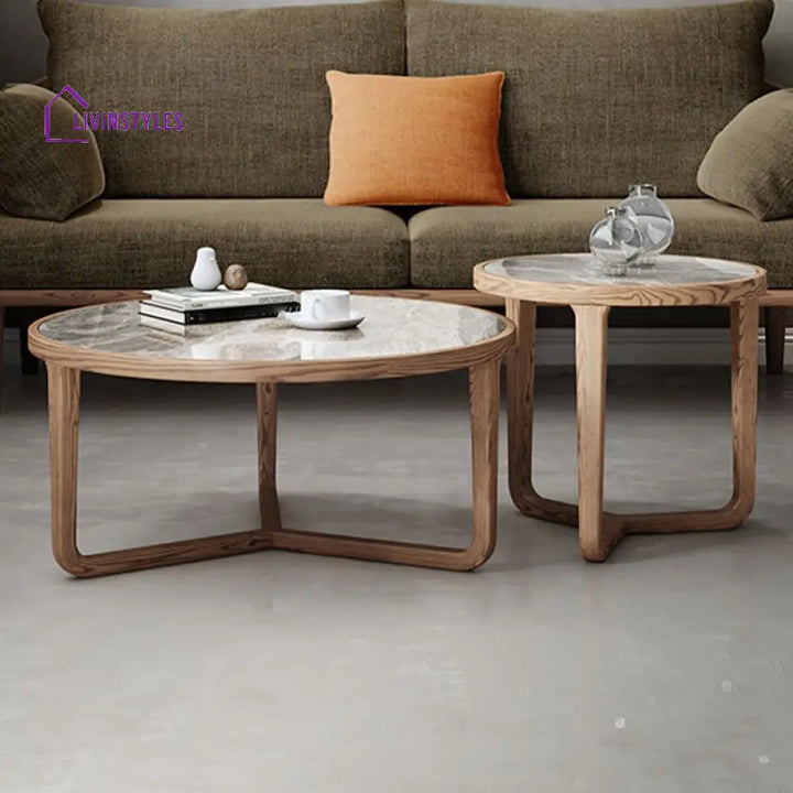 Vrishti Wooden Frame and Ceramic Marble Top Coffee Table for Living Room