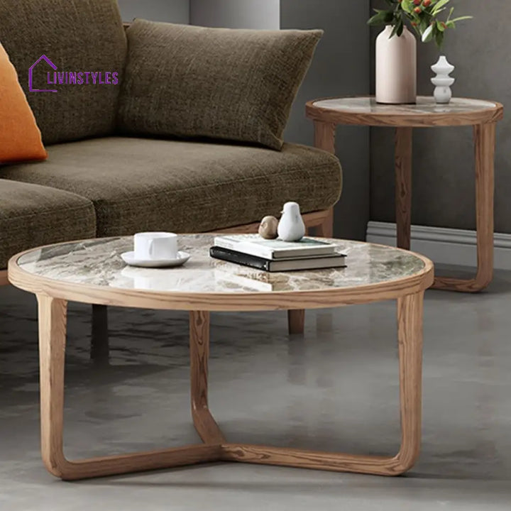 Vrishti Wooden Frame and Ceramic Marble Top Coffee Table for Living Room