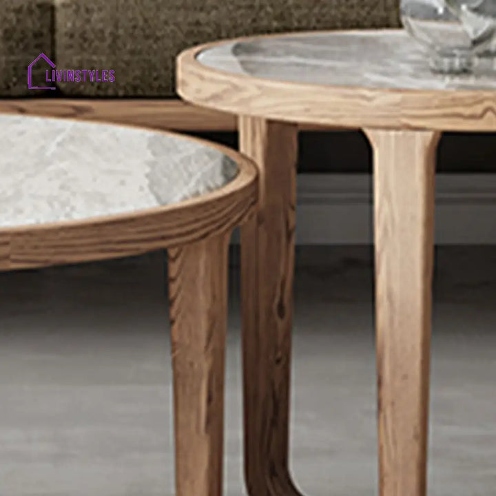 Vrishti Wooden Frame and Ceramic Marble Top Coffee Table for Living Room
