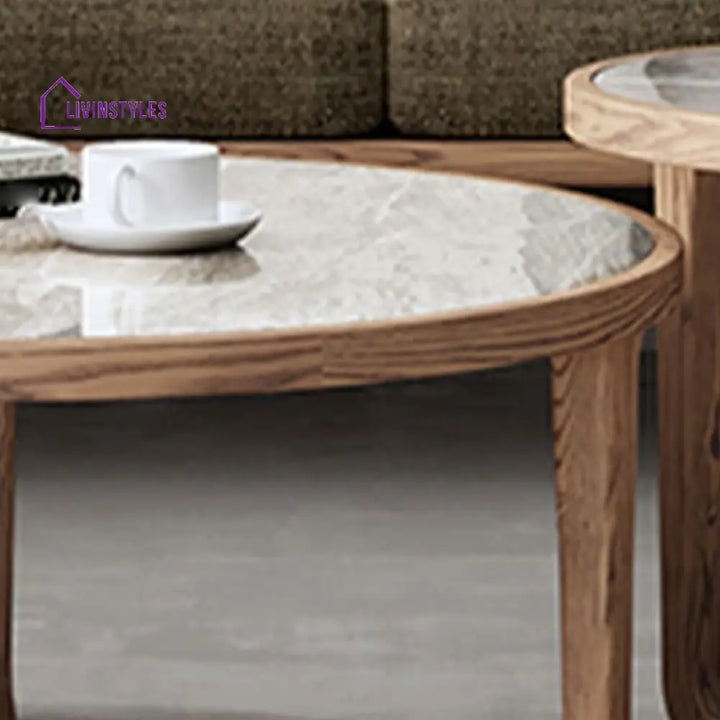 Vrishti Wooden Frame and Ceramic Marble Top Coffee Table for Living Room