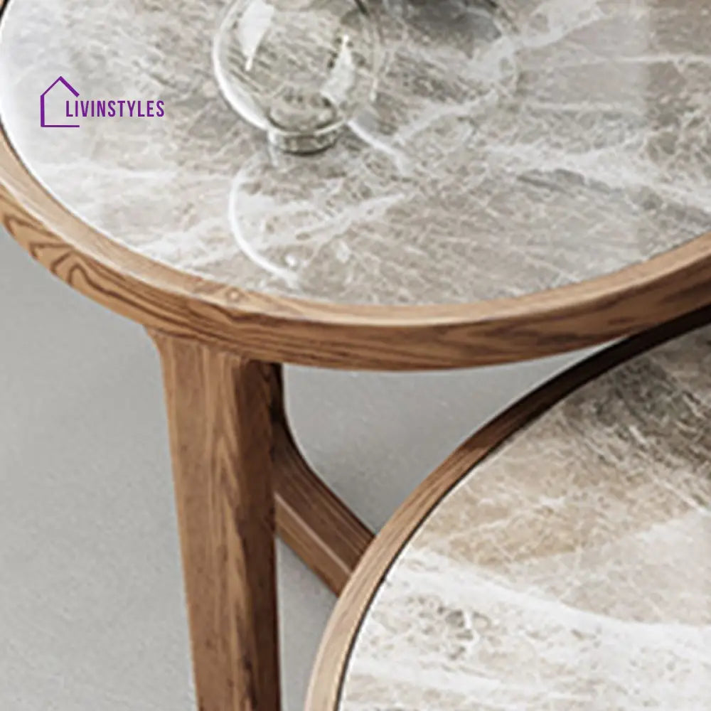 Vrishti Wooden Frame and Ceramic Marble Top Coffee Table for Living Room