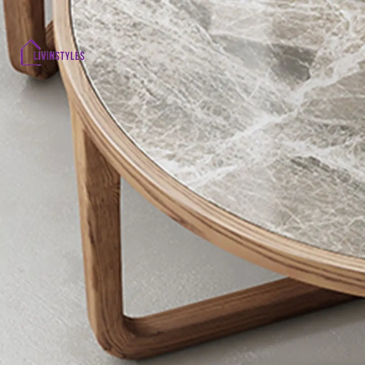 Vrishti Wooden Frame and Ceramic Marble Top Coffee Table for Living Room