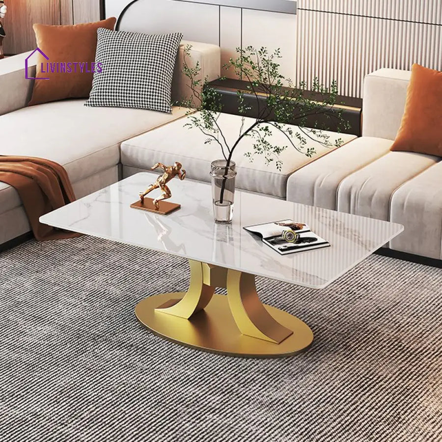 Wamika Stainless Steel Frame and Marble Top Coffee Table for Living Room