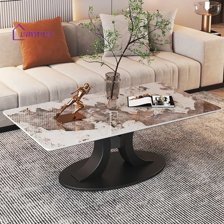 Wamika Stainless Steel Frame and Marble Top Coffee Table for Living Room