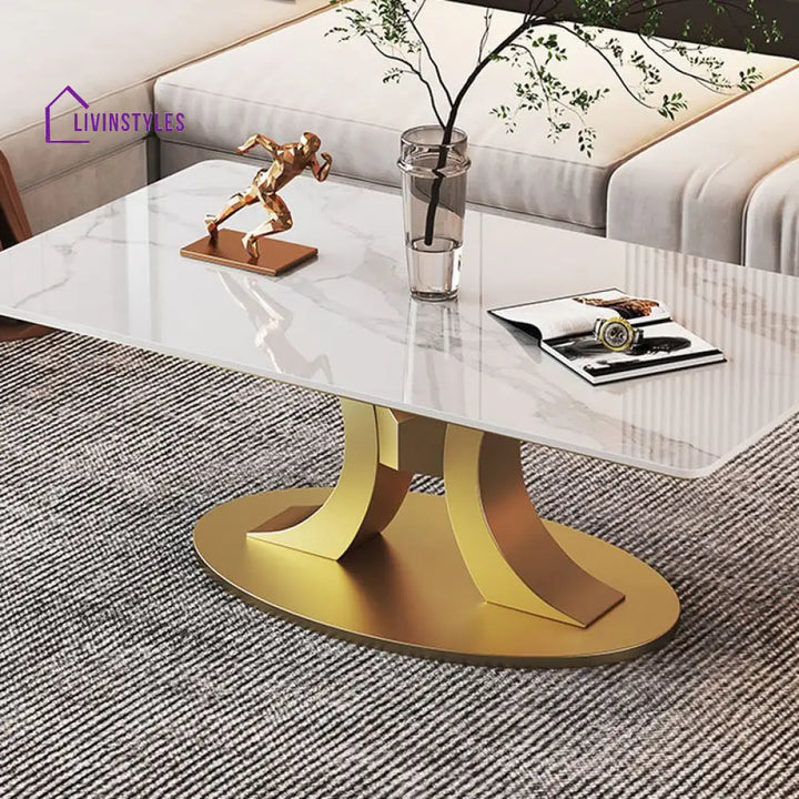 Wamika Stainless Steel Frame and Marble Top Coffee Table for Living Room