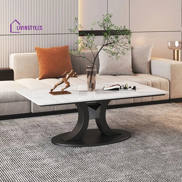 Wamika Stainless Steel Frame and Marble Top Coffee Table for Living Room