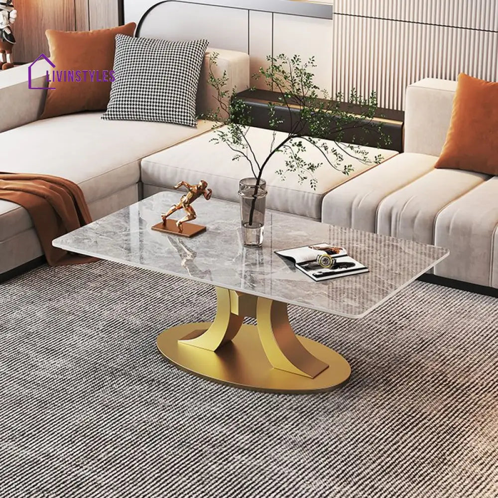 Wamika Stainless Steel Frame and Marble Top Coffee Table for Living Room