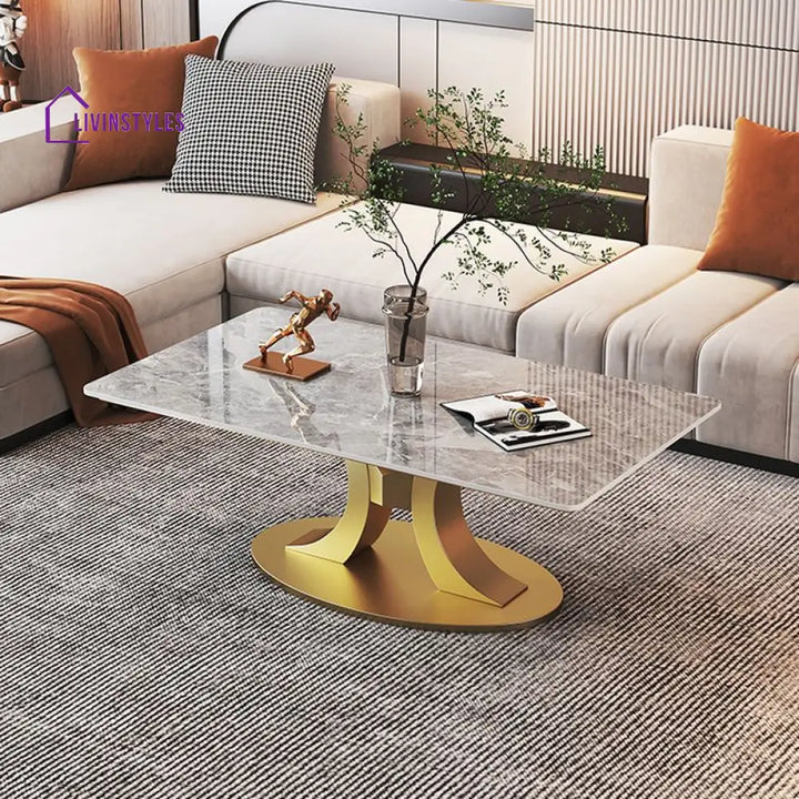 Wamika Stainless Steel Frame and Marble Top Coffee Table for Living Room