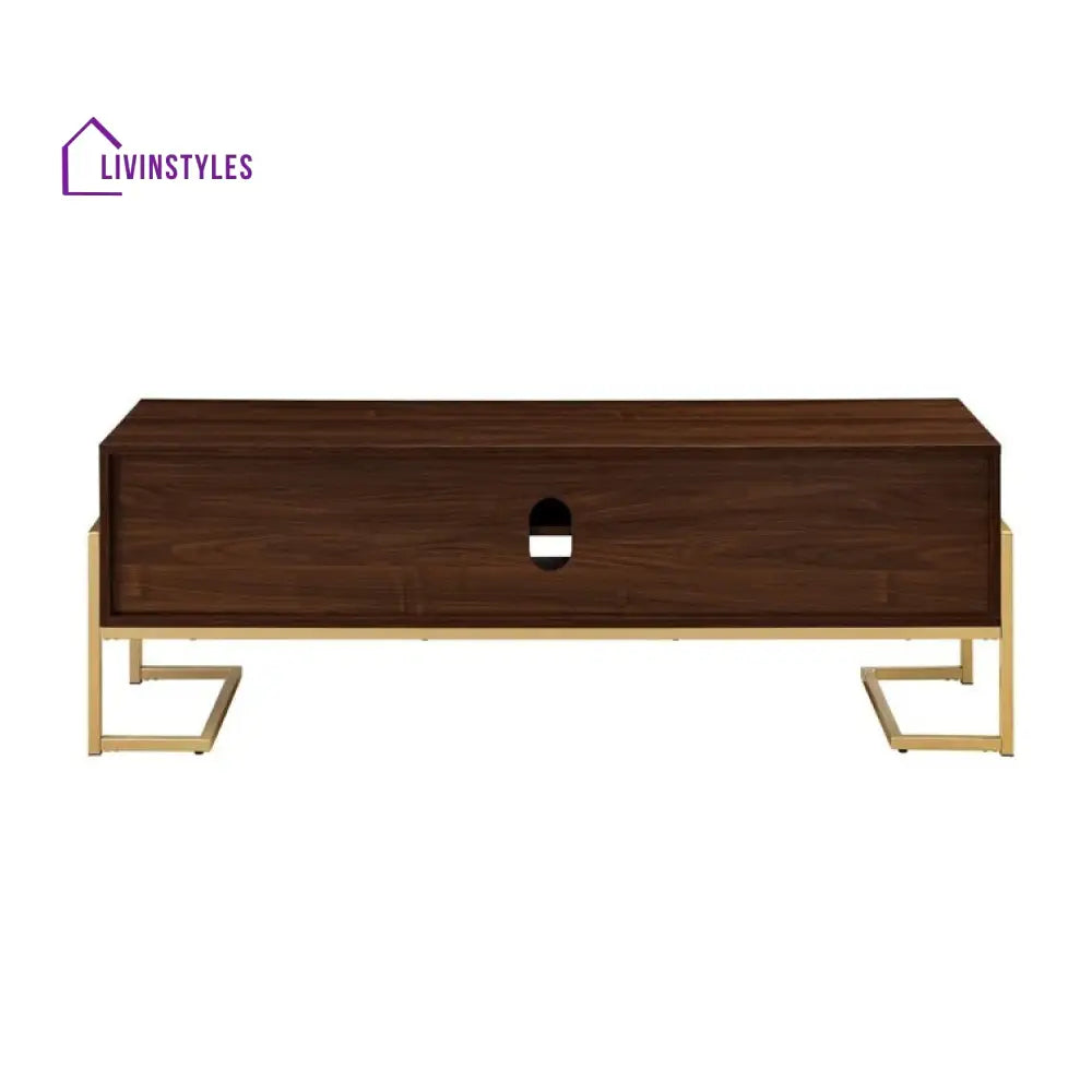 Wren Wooden Finish Tv Unit Stand for Living Room