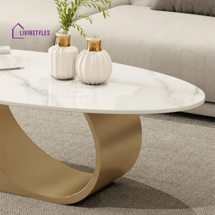 Yagna Stainless Steel Frame Coffee Table For Living Room
