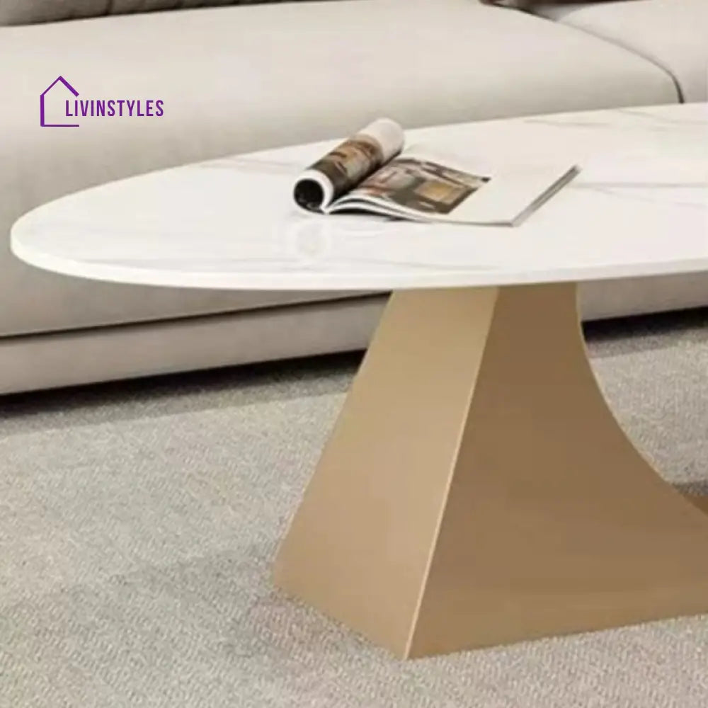 Yagna Stainless Steel Frame Coffee Table For Living Room