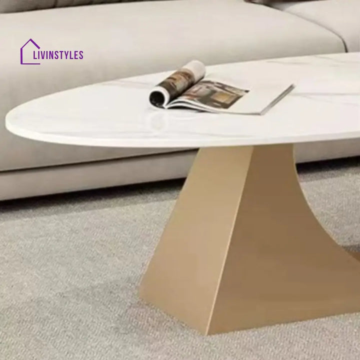 Yagna Stainless Steel Frame Coffee Table For Living Room