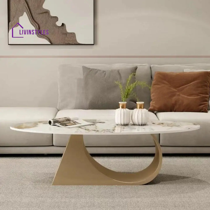 Yagna Stainless Steel Frame Coffee Table For Living Room