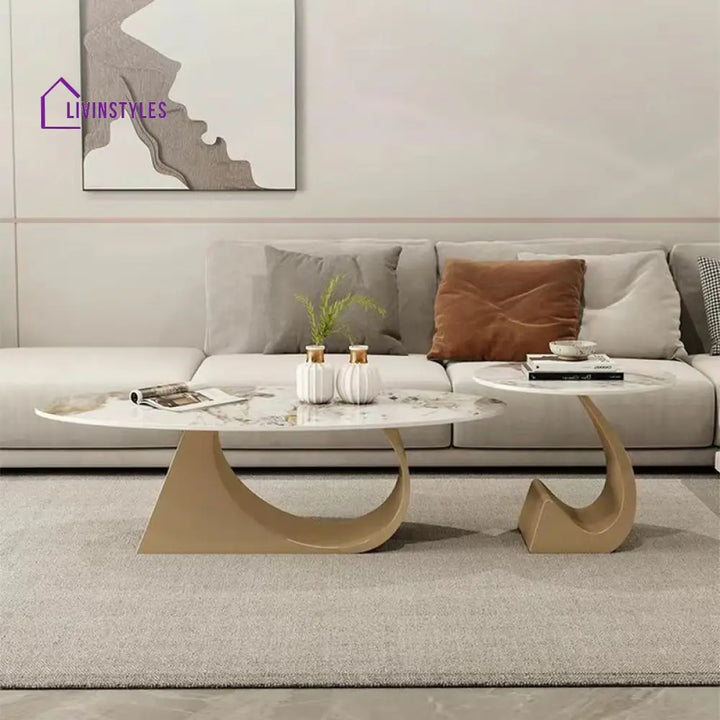 Yagna Stainless Steel Frame Coffee Table For Living Room