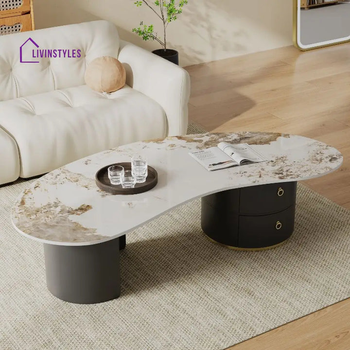 Yashica Stainless Steel Frame Coffee Table for Living Room