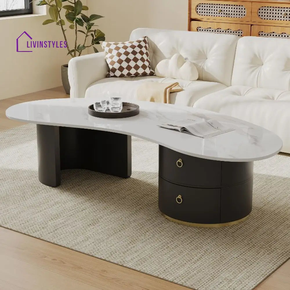 Yashica Stainless Steel Frame Coffee Table for Living Room