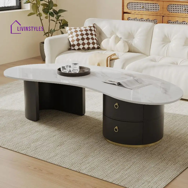 Yashica Stainless Steel Frame Coffee Table for Living Room