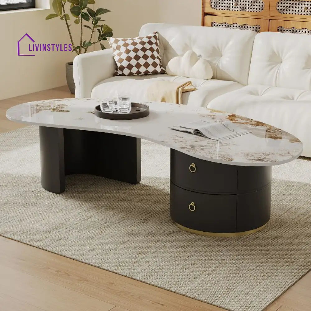 Yashica Stainless Steel Frame Coffee Table for Living Room
