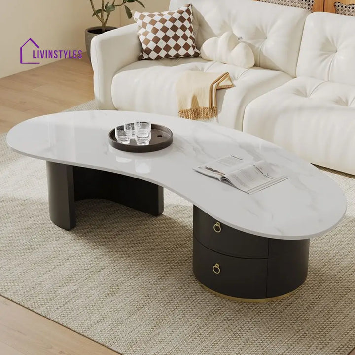 Yashica Stainless Steel Frame Coffee Table for Living Room