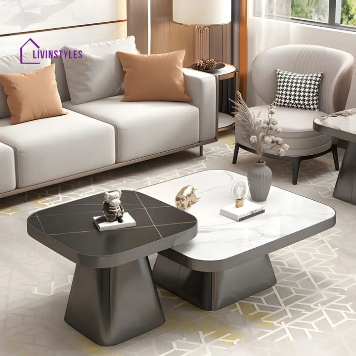 Yatin Stainless Steel Frame and Marble Top Coffee Table for Living Room