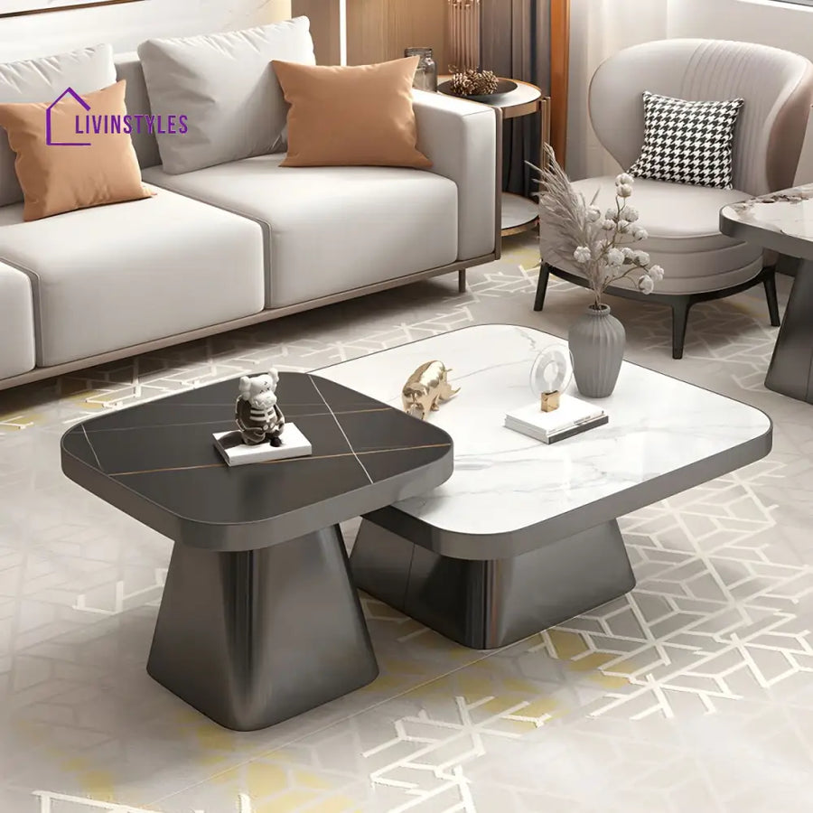 Yatin Stainless Steel Frame and Marble Top Coffee Table for Living Room