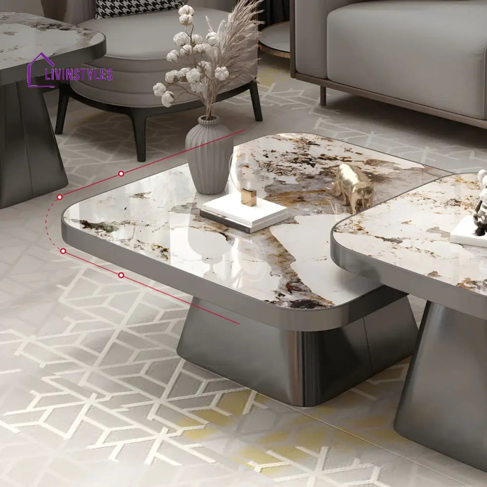 Yatin Stainless Steel Frame and Marble Top Coffee Table for Living Room