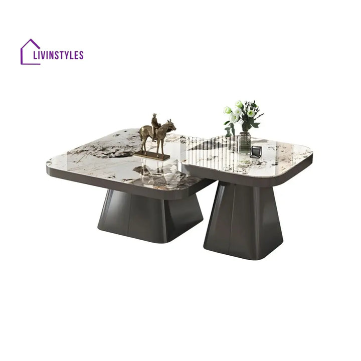 Yatin Stainless Steel Frame and Marble Top Coffee Table for Living Room