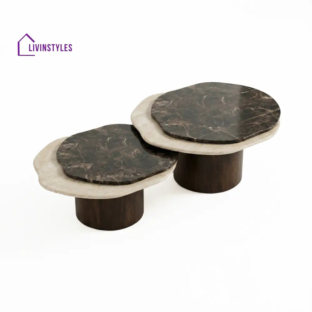 Sanaya Coffee Table - Furniture