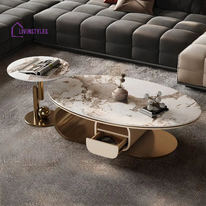 Zara Stainless Steel Frame Coffee Table for Living Room