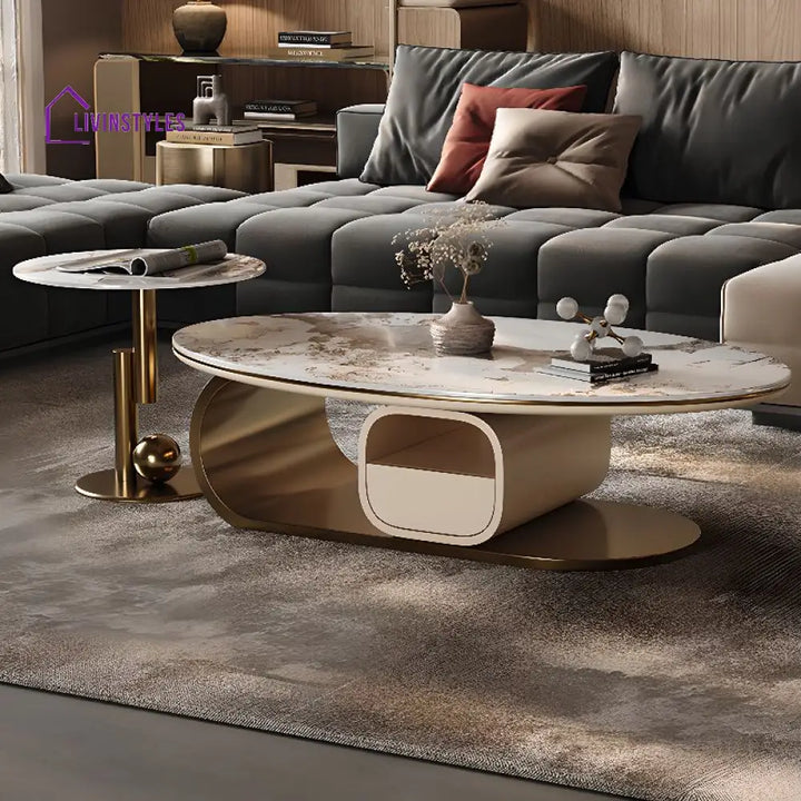 Zara Stainless Steel Frame Coffee Table for Living Room