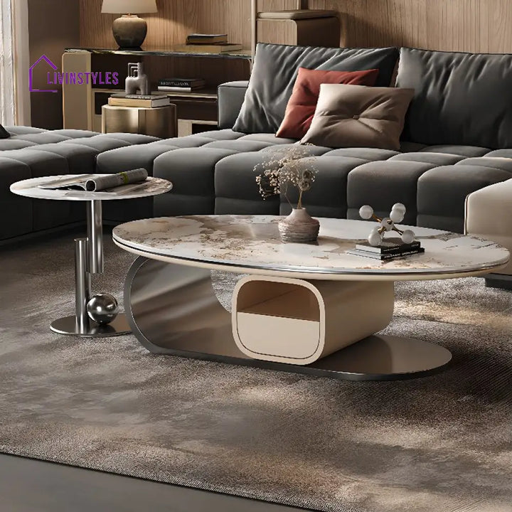 Zara Stainless Steel Frame Coffee Table for Living Room