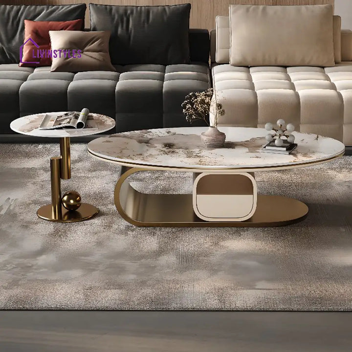 Zara Stainless Steel Frame Coffee Table for Living Room