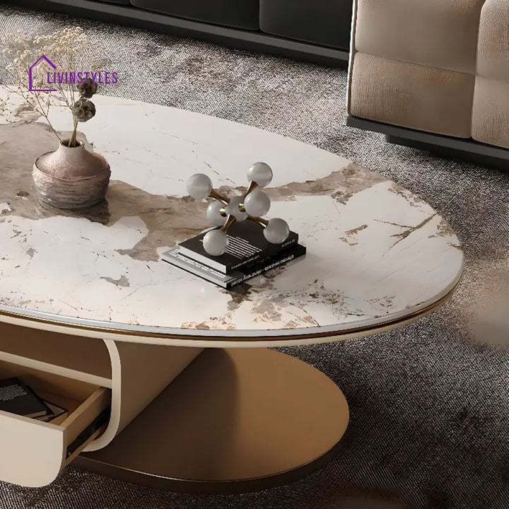 Zara Stainless Steel Frame Coffee Table for Living Room